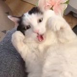 冖-冖-冖-冖-冖
