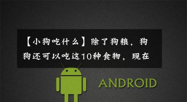 【小狗吃什么】除了狗粮，狗狗还可以吃这10种食物，现在知道还不晚文章配图
