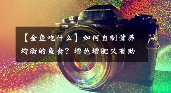 【金鱼吃什么】如何自制营养均衡的鱼食？增色增肥又有助于起头，金鱼也爱吃文章配图