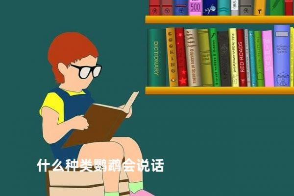 什么种类鹦鹉会说话