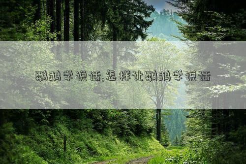 鹦鹉学说话,怎样让鹦鹉学说话