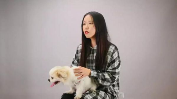 【公益】关注流浪动物，给它们一个家，领养代替购买！