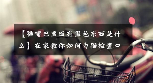 【猫嘴巴里面有黑色东西是什么】在家教你如何为猫检查口腔健康。文章配图