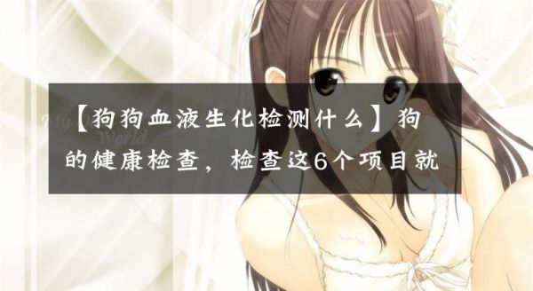 【狗狗血液生化检测什么】狗的健康检查，检查这6个项目就足够了文章配图