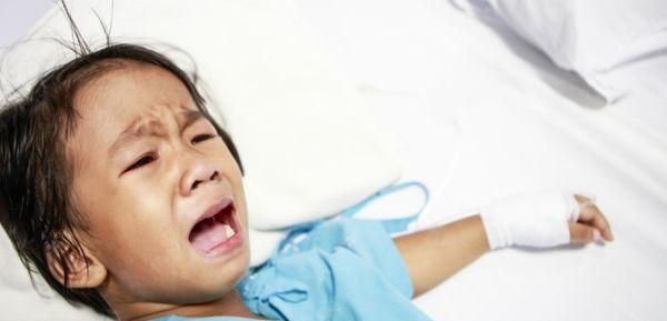 宠物口腔健康，您我共同关注（重视宠物口腔健康，让宠物更健康快乐）