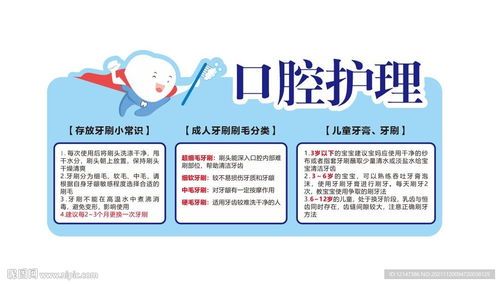 宠物口腔护理全指南:基础知识与日常保养