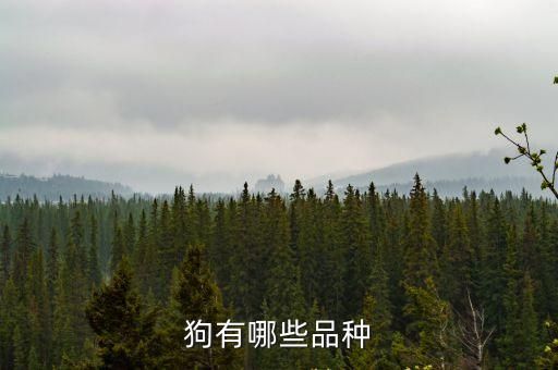 狗有哪些品种
