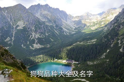 狗狗品种大全及名字