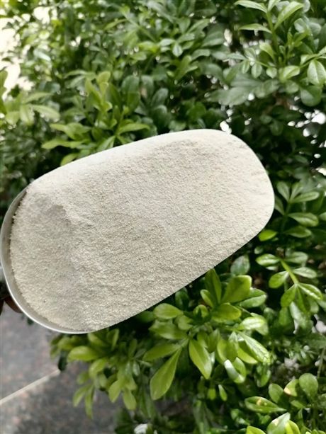 大米蛋白粉生产工艺