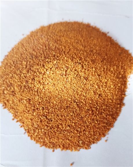 玉米蛋白粉的价格