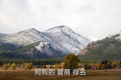 狗狗的 智商 排名