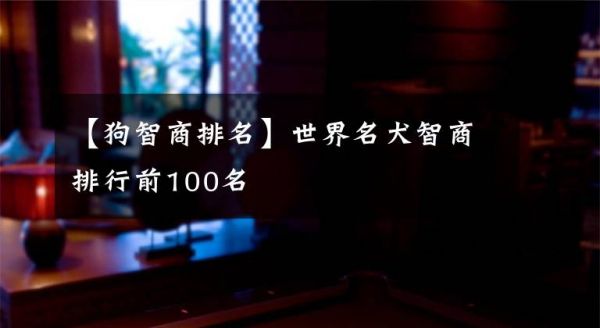 【狗智商排名】世界名犬智商排行前100名文章配图