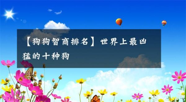 【狗狗智商排名】世界上最凶猛的十种狗
