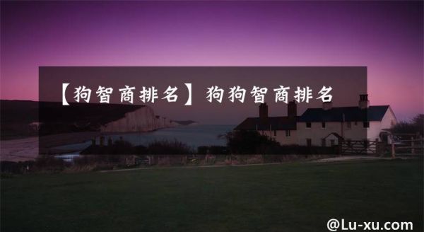 【狗智商排名】狗狗智商排名文章配图
