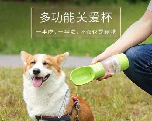 小狗一个月需要消耗多少粮食（宠物狗的饮食问题你不能忽略）