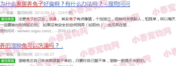 家里养的兔子可以洗澡吗