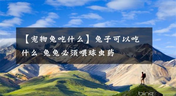 【宠物兔吃什么】兔子可以吃什么 兔兔必须喂球虫药文章配图