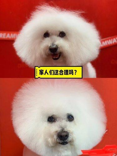 家人们这合理吗？