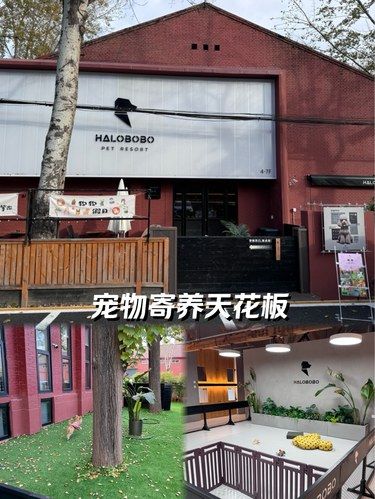 宠物寄养的天花板—Halobobo
