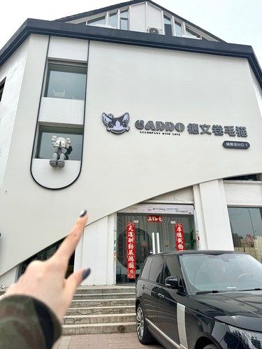 沈阳首家！！沈阳首家！！ 
