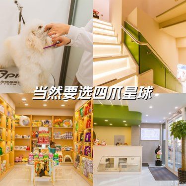 家人们谁懂啊！这家宠物店我锁死了