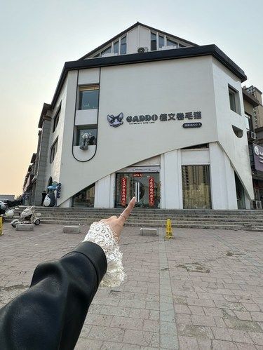沈阳新开的！！东北最大！！德文猫咪城堡！！！