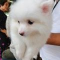 https://p0.meituan.net/userheadpicbackend/f935840dbdbd5161f7e6a844ce54cd494350.jpg%40120w_120h_1e_1c_1l%7Cwatermark%3D0