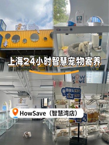 上海居然有这么超前的宠物寄养中心‼️