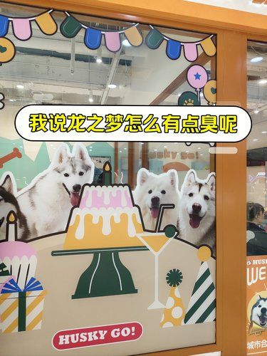 巨型汪的悠闲时光[打call]