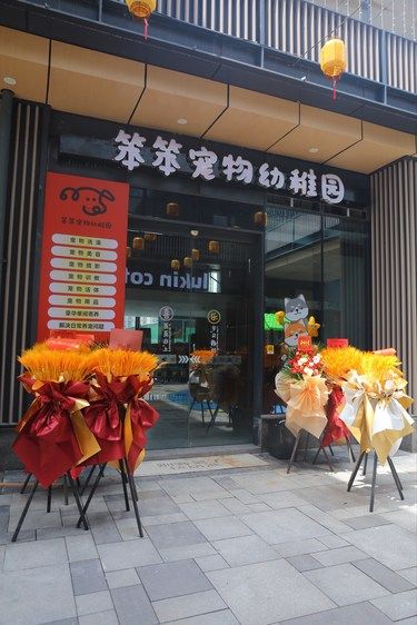 江南里这家宠物店！价格也太良心了