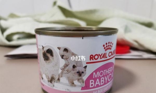 自制小猫罐头（以小猫罐头为主食，软便正常吗？宠物医生这么说！）