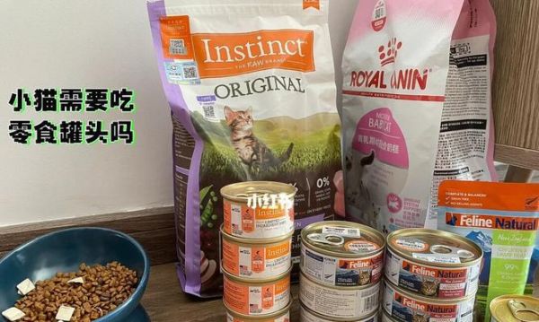 自制小猫罐头（以小猫罐头为主食，软便正常吗？宠物医生这么说！）