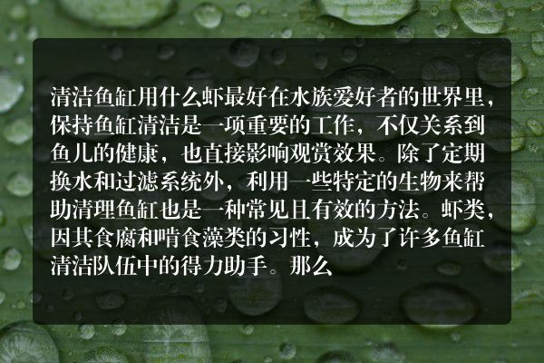 清洁鱼缸用什么虾最好