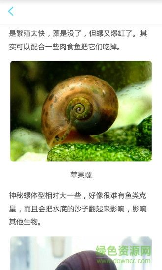养鱼达人(养鱼知识) v1.0 安卓版 3