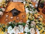北京宠物殡葬中心24小时专车上门单炉单宠