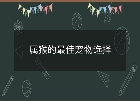 属猴的最佳宠物选择