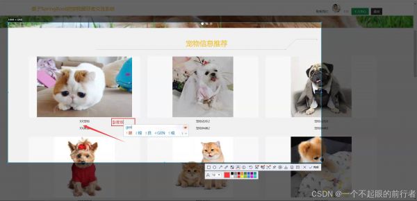请添加图片描述