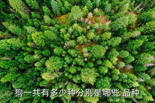 狗一共有多少种分别是哪些 品种