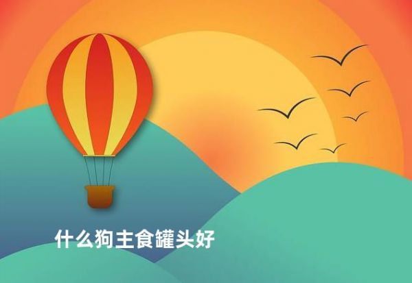 什么狗主食罐头好