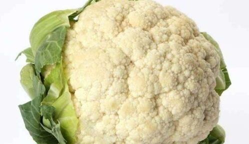 狗狗蔬菜宜煮熟,生食影响健康。