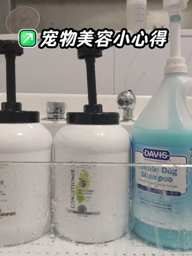 宠物洗护宝藏店铺