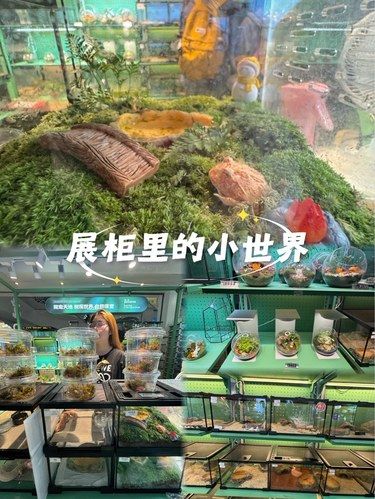 展会里的小世界 ！蛙蛙出养成！