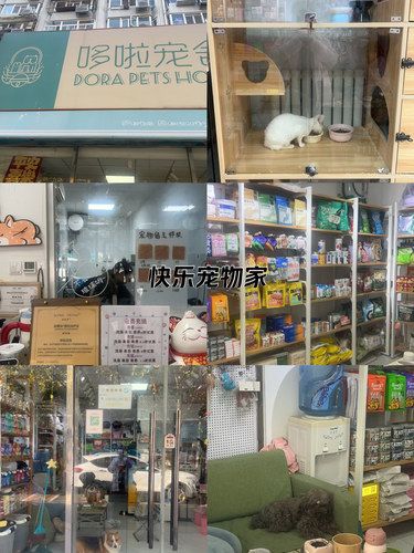 宠物店欢乐多