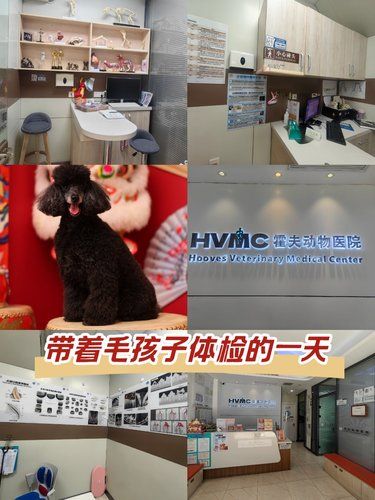  好有爱的宠物医院[色][比心][强][点赞]