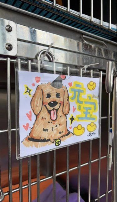 顺涞，一家有情怀的医院