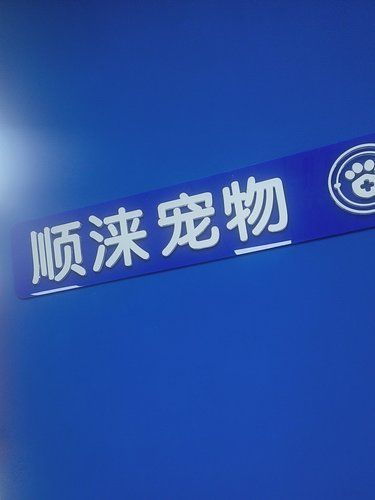 带着毛孩子体检的一天
