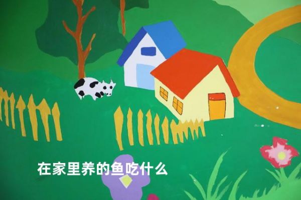在家里养的鱼吃什么