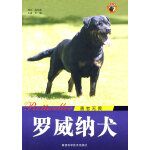 罗威纳犬 勇者无畏