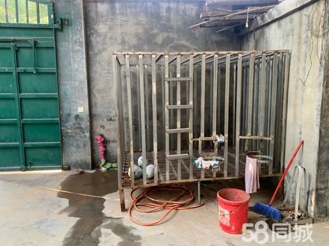 新乡宠物用品/食品·用了一个月的狗笼