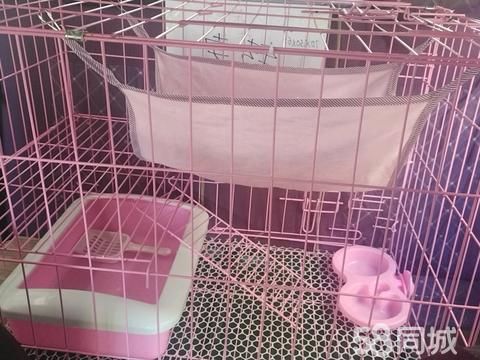 新乡宠物用品/食品·猫笼全套。包含猫砂盆，猫食盆，上下楼梯。托盘。除了喂猫，还可以喂狗狗。